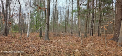 2.17 Acres N Branch Dr unit Woodview Pass VL, Beaverton, MI 48612 - photo 3