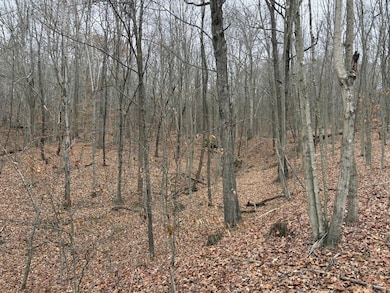 Sr 140 Lot unit Wp 001, Wheelersburg, OH 45694 - photo 5