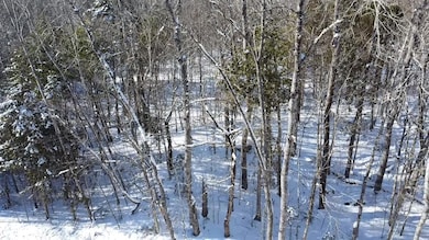 Lot 7 Curtis Farm Rd, Lincoln, ME 04457 - photo 7