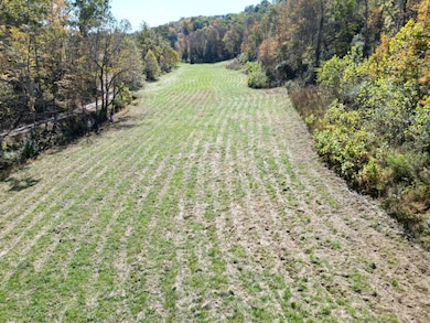 000 Field Hollow Rd, Spencer, WV 25276 - photo 7