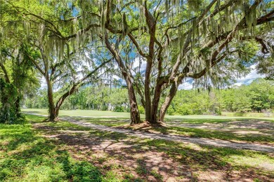 Lot 6 Sutherland Bluff Dr, Shellman Bluff, GA 31331 - photo 2