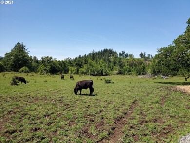 0 Witcher Gateway unit 3, Cottagegrove, OR 97424 - photo 3