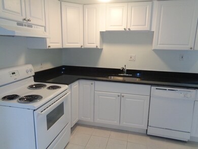 60 Gorham Ave unit 1, Brookline, MA 02445 - photo 5