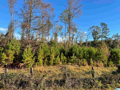 lot 5 Mooney Rd unit 5, Columbiana, AL 35040 - photo 2