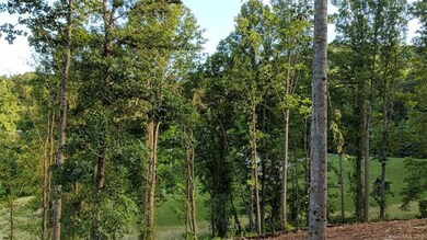 3889 New Leicester Hwy, Leicester, NC 28748 - photo 3