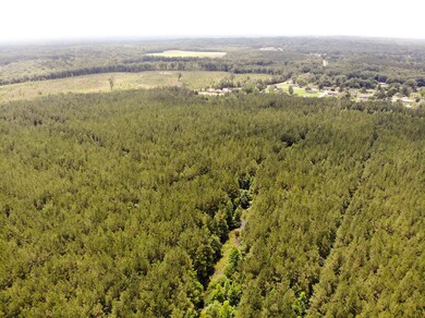 DJI_0648
