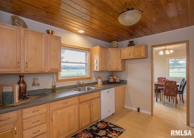 31403 52nd Ave N, Hillsdale, IL 61257 - photo 3