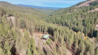 48144 E Pine Creek Rd, Halfway, OR 97834 - photo 2