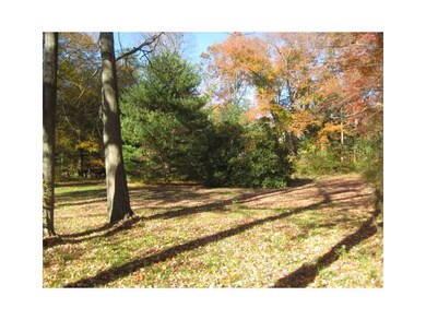 Yard/Garden.