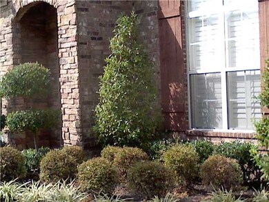 Mature Landscaping