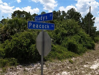 705 Peacock Ave, Lehigh Acres, FL 33974 - photo 6