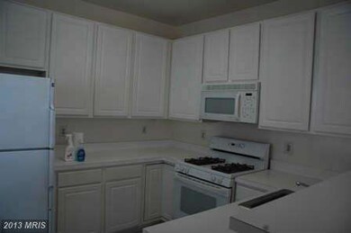 11302 Westbrook Mill Ln unit 102, Fairfax, VA 22030 - photo 5