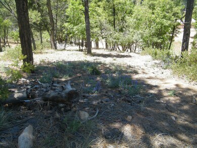 6204 N Wildcat Trail, Show Low, AZ 85901 - photo 2