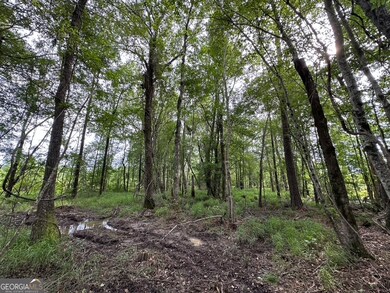 0 Bennett Colter Rd unit 10542243, Rentz, GA 31075 - photo 2