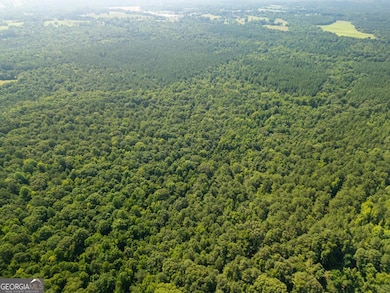 0 Carey Station Rd unit 10583339, Greensboro, GA 30642 - photo 3