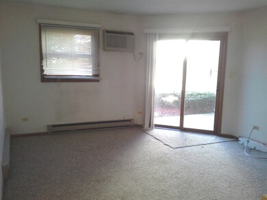 4408 W Shamrock Ln unit 1D, McHenry, IL 60050 - photo 5