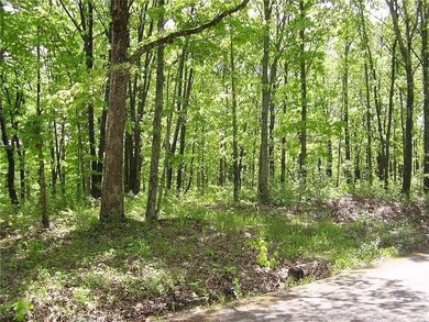 Winarsky Cir Ofc unit Edwards MO 65326, Hastain, MO 65326 - photo 5