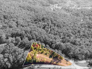 Lot 64 Lyle Mountain Trail, Franklin, NC 28734 - photo 6