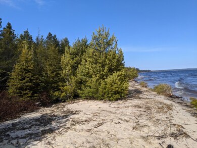 0 Carnegie Woods unit Parcel 2 322988, Naubinway, MI 49762 - photo 3