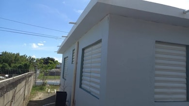 #91 Calle Facundo Alicea Ext San Felipe, Salinas, PR 00704 - photo 4