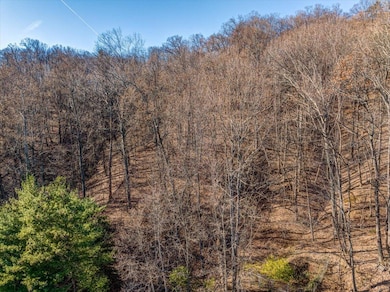 0 Burnham Rd, Roanoke, VA 24018 - photo 2