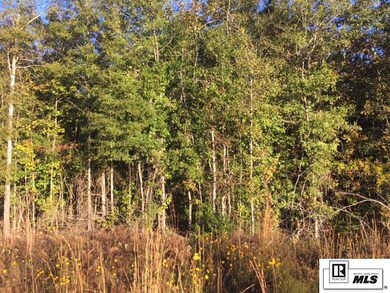 238 Garner Rd, Jonesboro, LA 71251 - photo 6