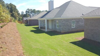 view of back yards