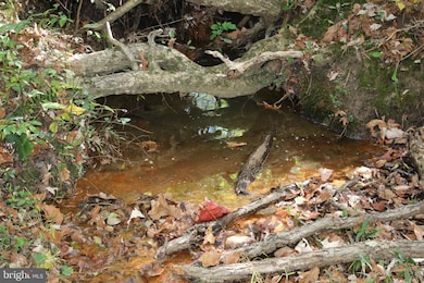 0 Sadlick Lot I Rd, Strasburg, VA 22657 - photo 7