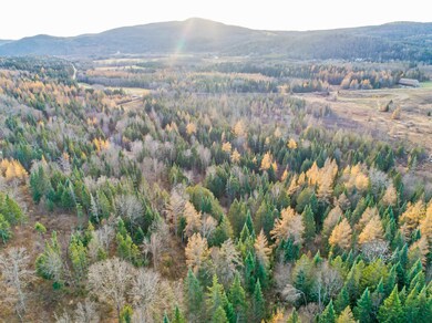 - Hall Stream & White Branch Rd, Pittsburg, NH 03592 - photo 7