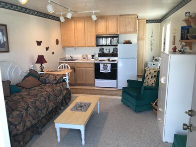 681 Utah 143 unit m-7, Brian Head, UT 84719 - photo 5