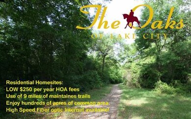 LOT37 Mandiba Dr, Lake City, FL 32024 - photo 3