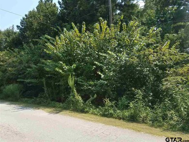 000 Bent Trail, New Chapel Hill, TX 75707 - photo 3