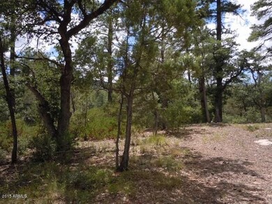 5 Surrounding Trees