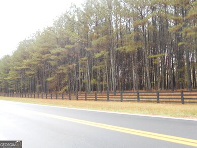 173 Youth Jersey Rd, Covington, GA 30014 - photo 6