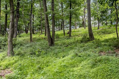 0 Rodeo Dr unit 587718, Harrisonburg, VA 22802 - photo 4