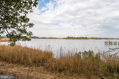 Lot E-4 Mountain Laurel, Dagsboro, DE 19939 - photo 5