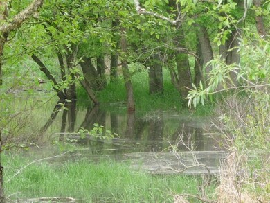 50 Ac 2nd Ave, Cutler, WI 54618 - photo 3