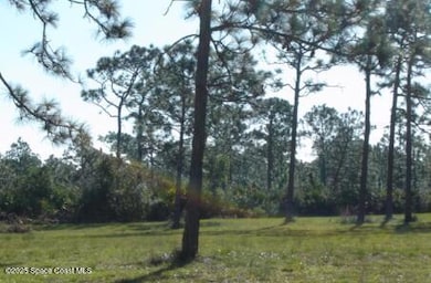 0 Unknown unit 1062308, Malabar, FL 32950 - photo 5