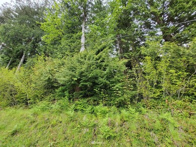 0 288th St NW unit 1935065, Stanwood, WA 98292 - photo 3