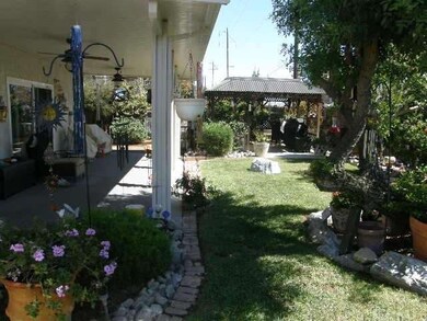 Rear Yard 2