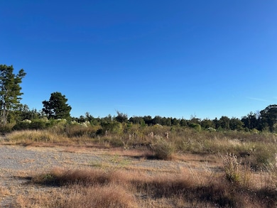 000 Homer Cooper Rd, Marshall, TX 75672 - photo 5