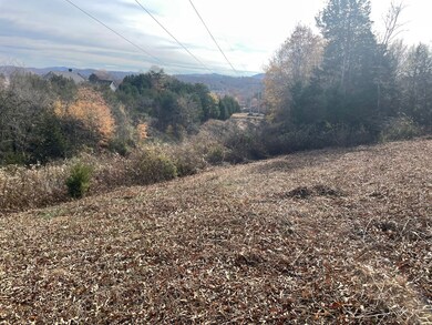 0 Quiet Cove Way Lot 46, Dandridge, TN 37725 - photo 7