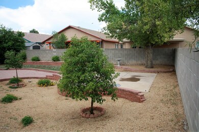 backyard 5