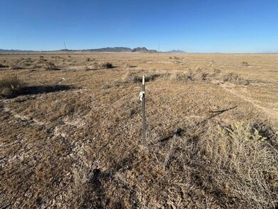 007. 2 Acre - SouthWest Property Marker