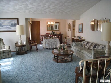 125 27th Ave, Moline, IL 61265 - photo 6