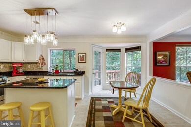 9 Stratford Garden Ct, Silver Spring, MD 20904 - photo 5