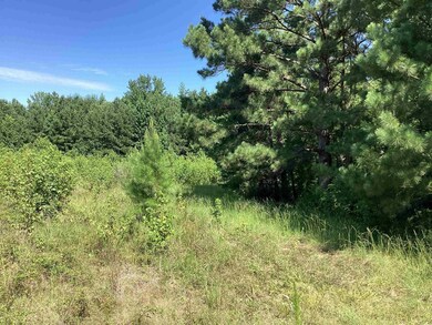 000 Hempstead 24 Rd, Blevins, AR 71825 - photo 6