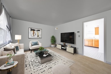 166 E Bacon St unit 4, Plainville, MA 02762 - photo 5