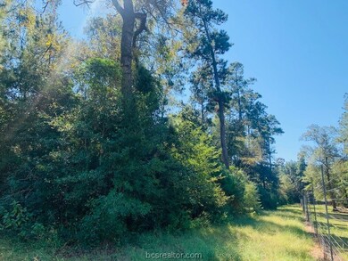 0 Sycamore Ln unit 21013469, Plantersville, TX 77363 - photo 3