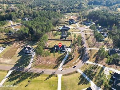 173 Fallen Oaks Dr, Brandon, MS 39047 - photo 2